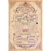 Harry Potter Poster Zweinstein Schoollijst