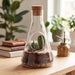 Laborglas Terrarium Anbauset
