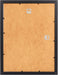 23647_póster-pokémon-red-vs-blue-reverso.jpg