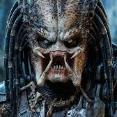 Predator