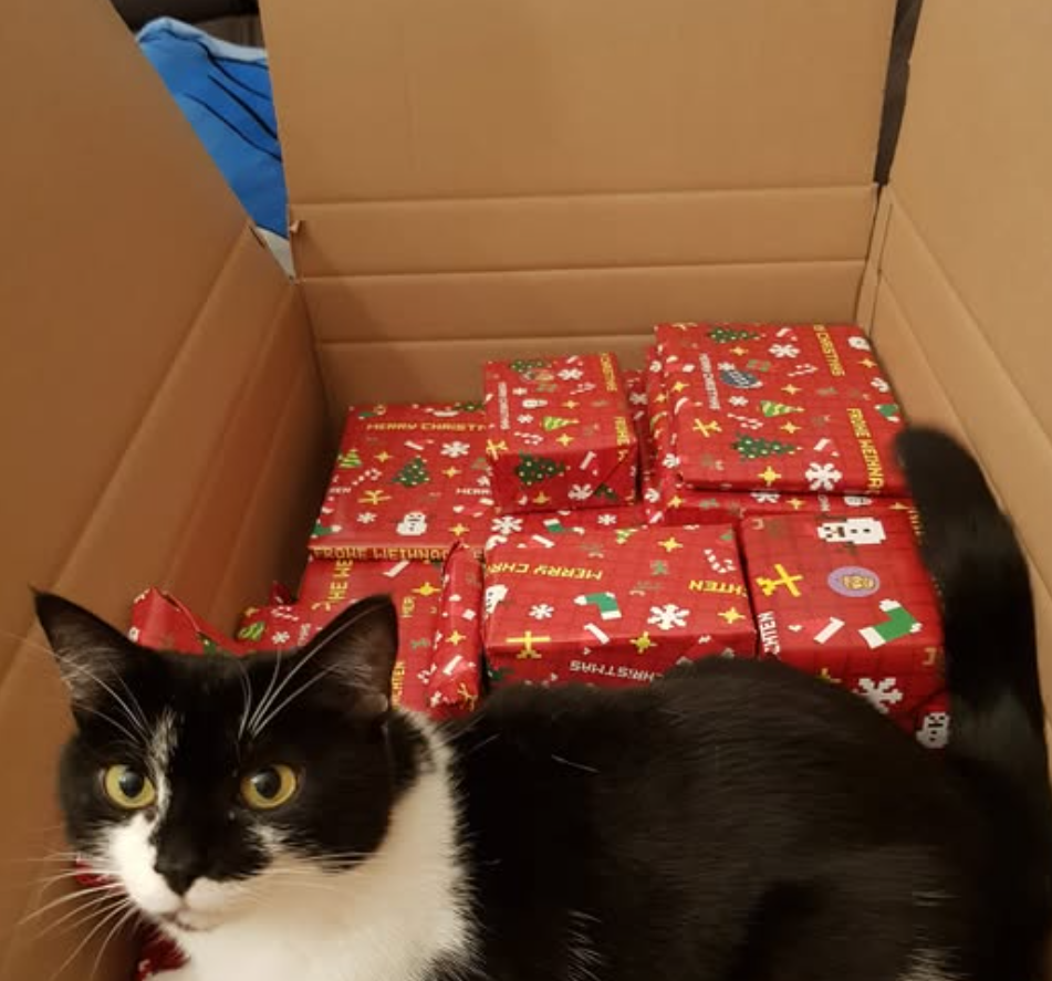 <h2>Customer testimonials about our advent calendar</h2>