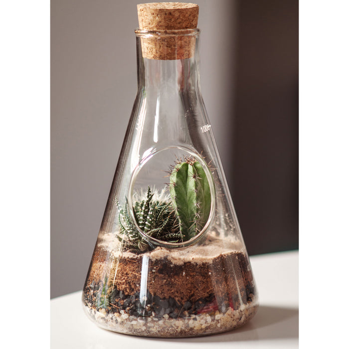 Laborglas Terrarium Anbauset im Erlenmeyerkolben