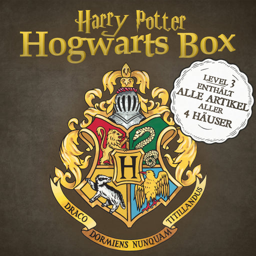 productImage-22764-harry-potter-level-up-box-gryffindor-1.jpg