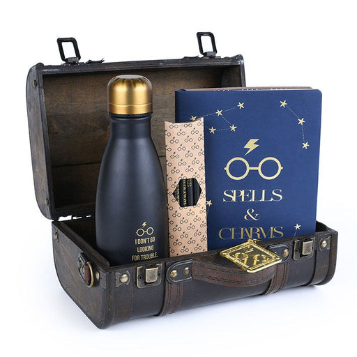Caja de regalo Harry Potter Trouble Finds Me