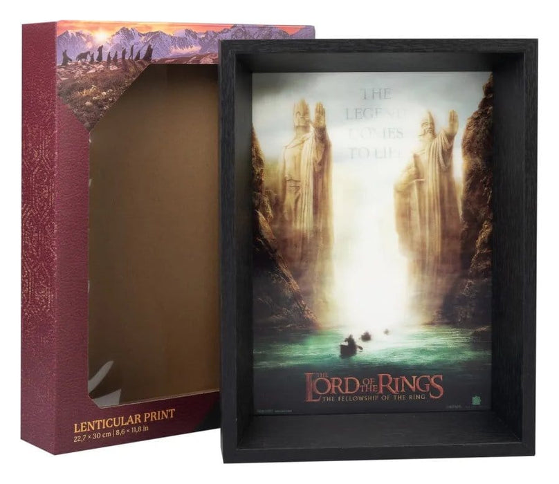 Lord of the Rings Lenticulaire Print De Reisgenoten