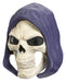 Masters of the Universe Skeletor masker met licht en geluid