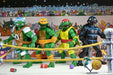 Teenage Mutant Ninja Turtles Stump Wrestling Actiefiguren 4-pack (Archie Comics)