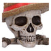 One Piece opbergdoos Jolly Roger van Luffy