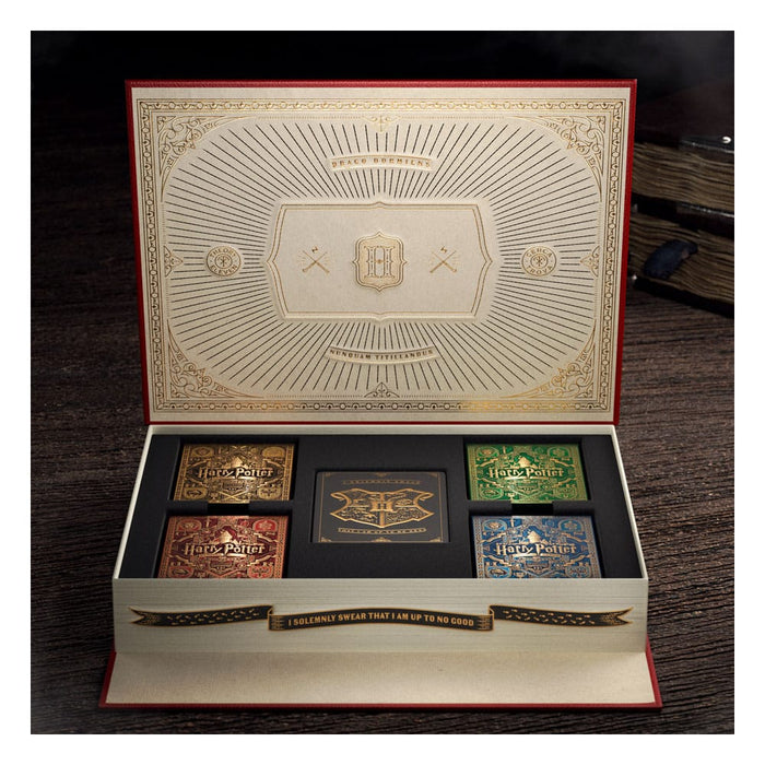 Set de cartas Harry Potter con 5 barajas
